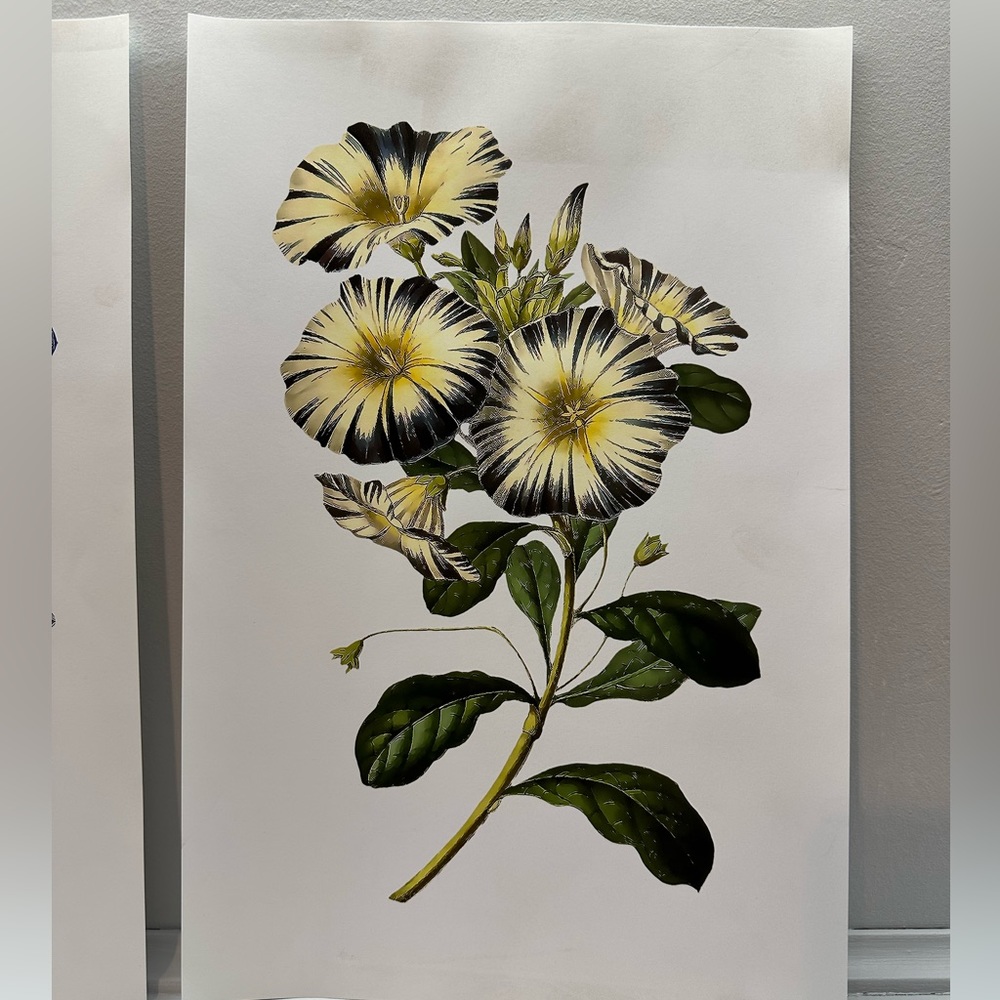 Floral Prints - Picture 2 of 4